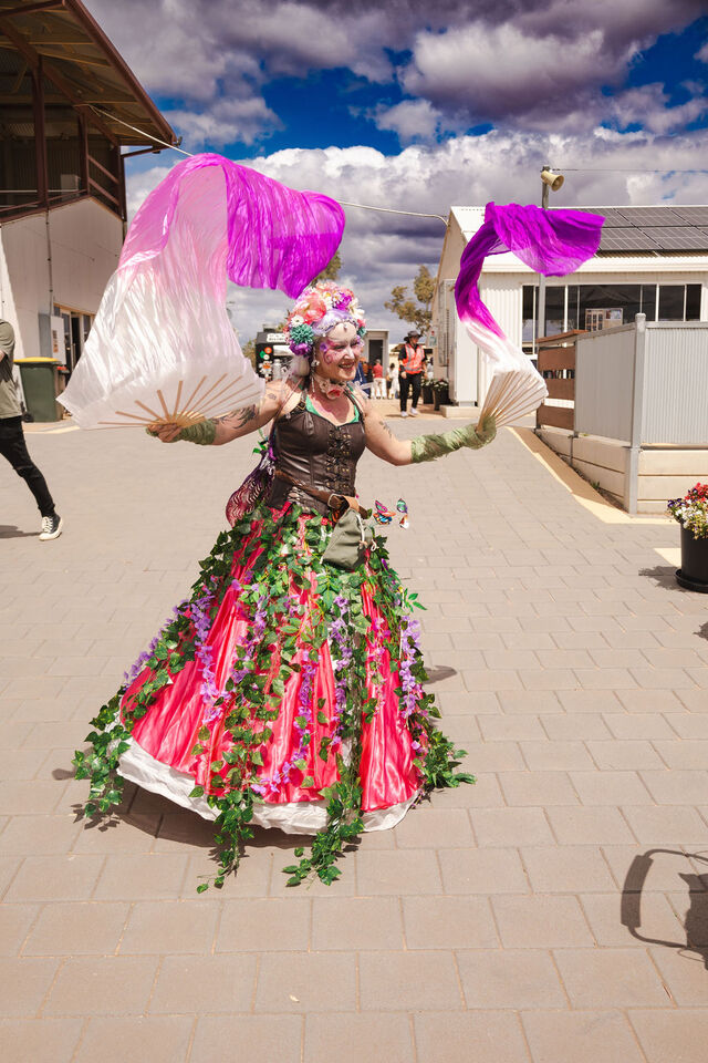 Council holds first Medieval Fantasy Festival | The Whyalla News