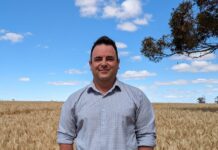 Call for targeted support