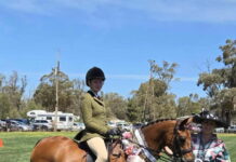 Melrose Show makes its mark