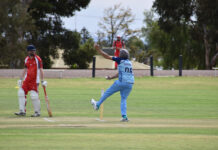 Bolters eye cricket glory