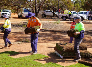 Monthly council snippets