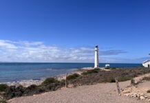 Lowly camping goes online