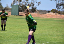 Softball supporting cancer