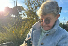 Parvo outbreak in Whyalla