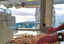 Eat locally caught prawns