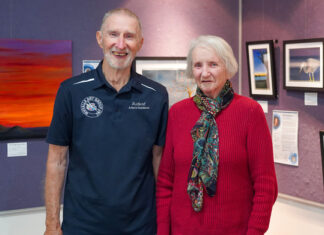 Library showcasing artists