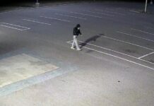 Police busy over holidays