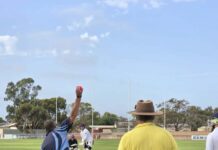 Roos celebrate with cricket
