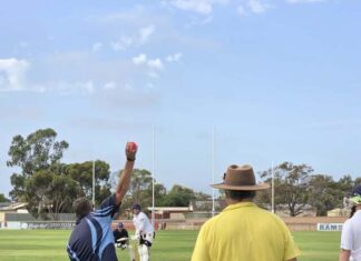 Roos celebrate with cricket