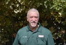 Misan given top honour