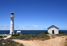 Bloom eases, risk remains