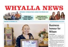 Year that was in Whyalla – November