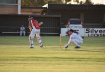 Centrals, Norths win big