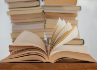 Discover what’s on in the Spencer Gulf