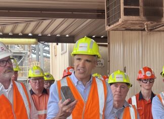 Whyalla’s magnetite future