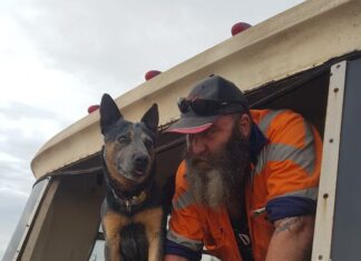 Final farewell for Nugget