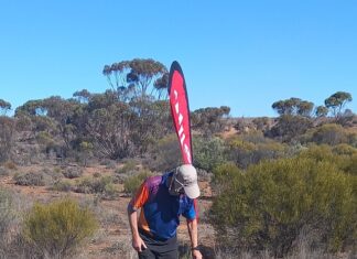 Orienteers hit the track