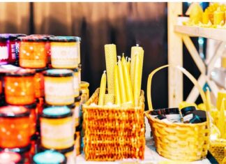 Discover what’s on around the Spencer Gulf