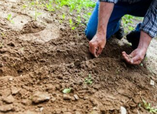 Farmers seek fairer pay