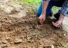 Farmers seek fairer pay