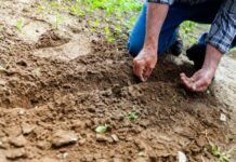 Farmers seek fairer pay