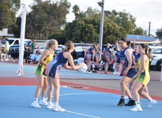 Warriors, YCW sit top